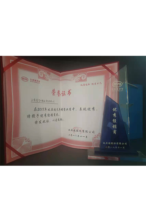 仪征市比亚迪2018优秀经销商
